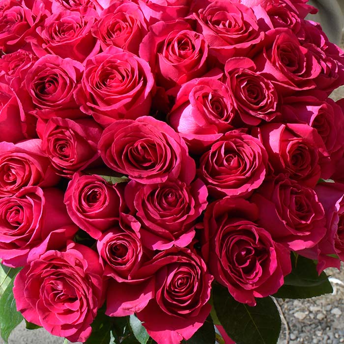 Букет из 75 розовых роз