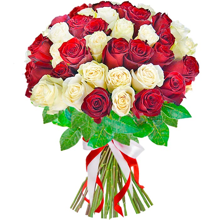 Букет из 35 красных и белых роз